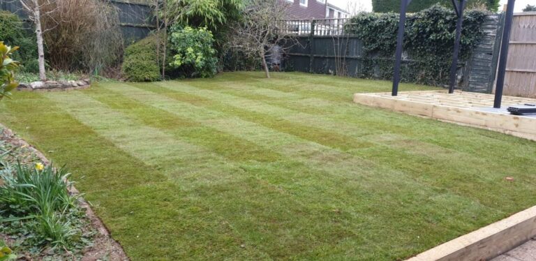 A Step-by-Step Guide for a Lush Green Lawn