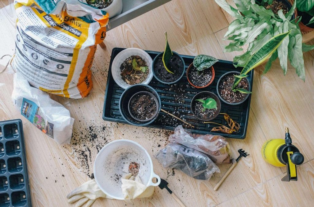 Your Ultimate Spring Garden Maintenance Checklist
