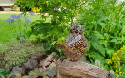 Landscaping You’ll Love: Creating Outdoor Spaces That Bring People Together