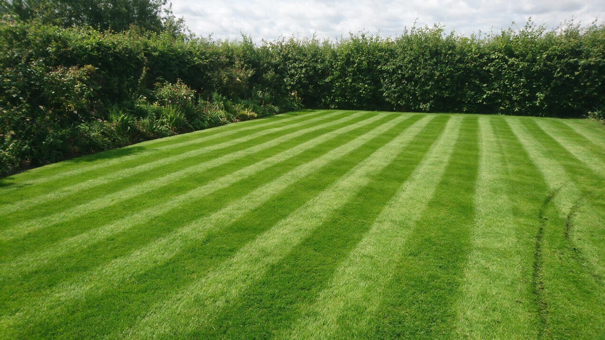 Freshly mown striped lawn after a lawn mowing and care visit in Worcestershire